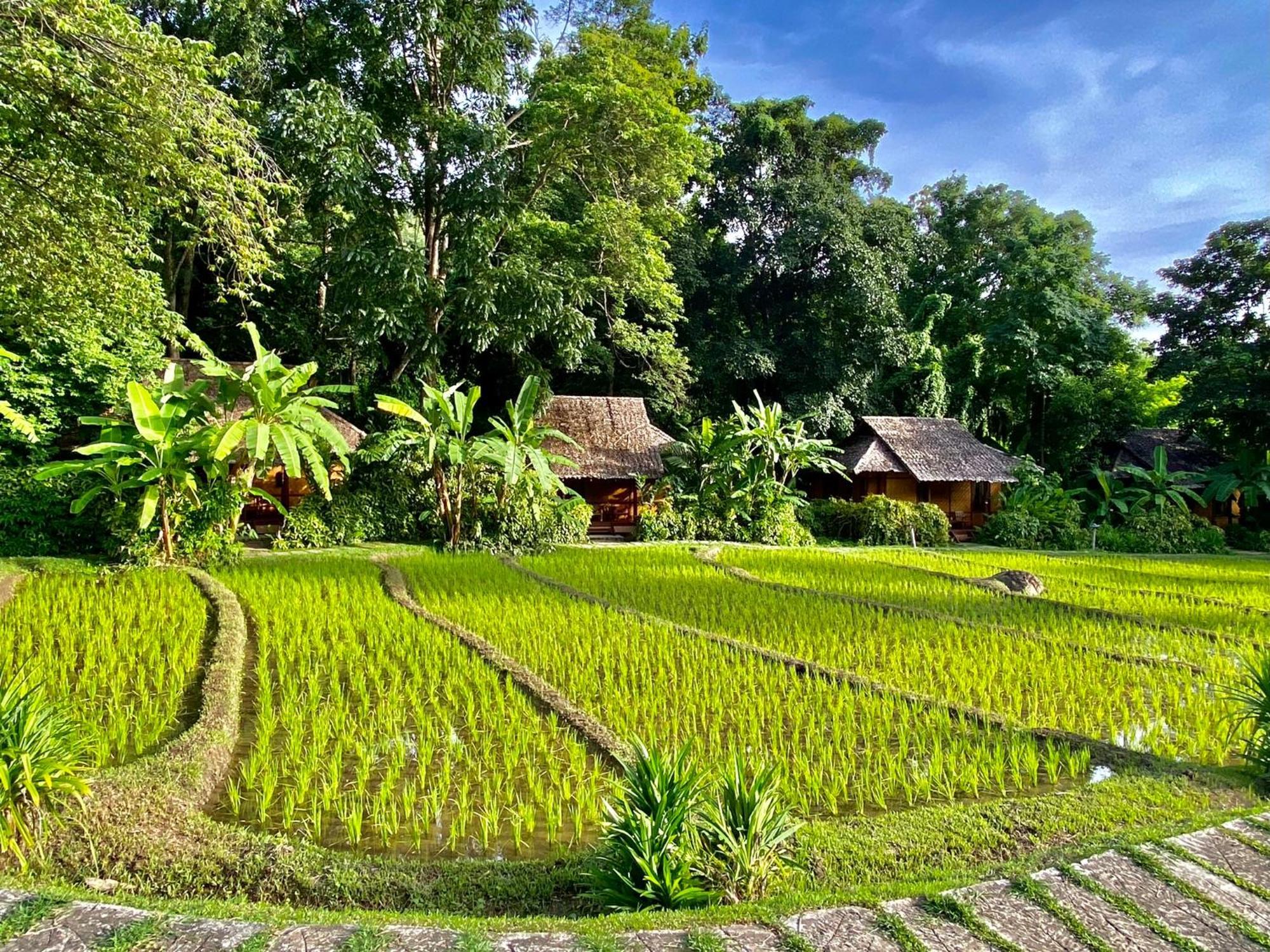 Fern Resort Mae Hong Son Zewnętrze zdjęcie