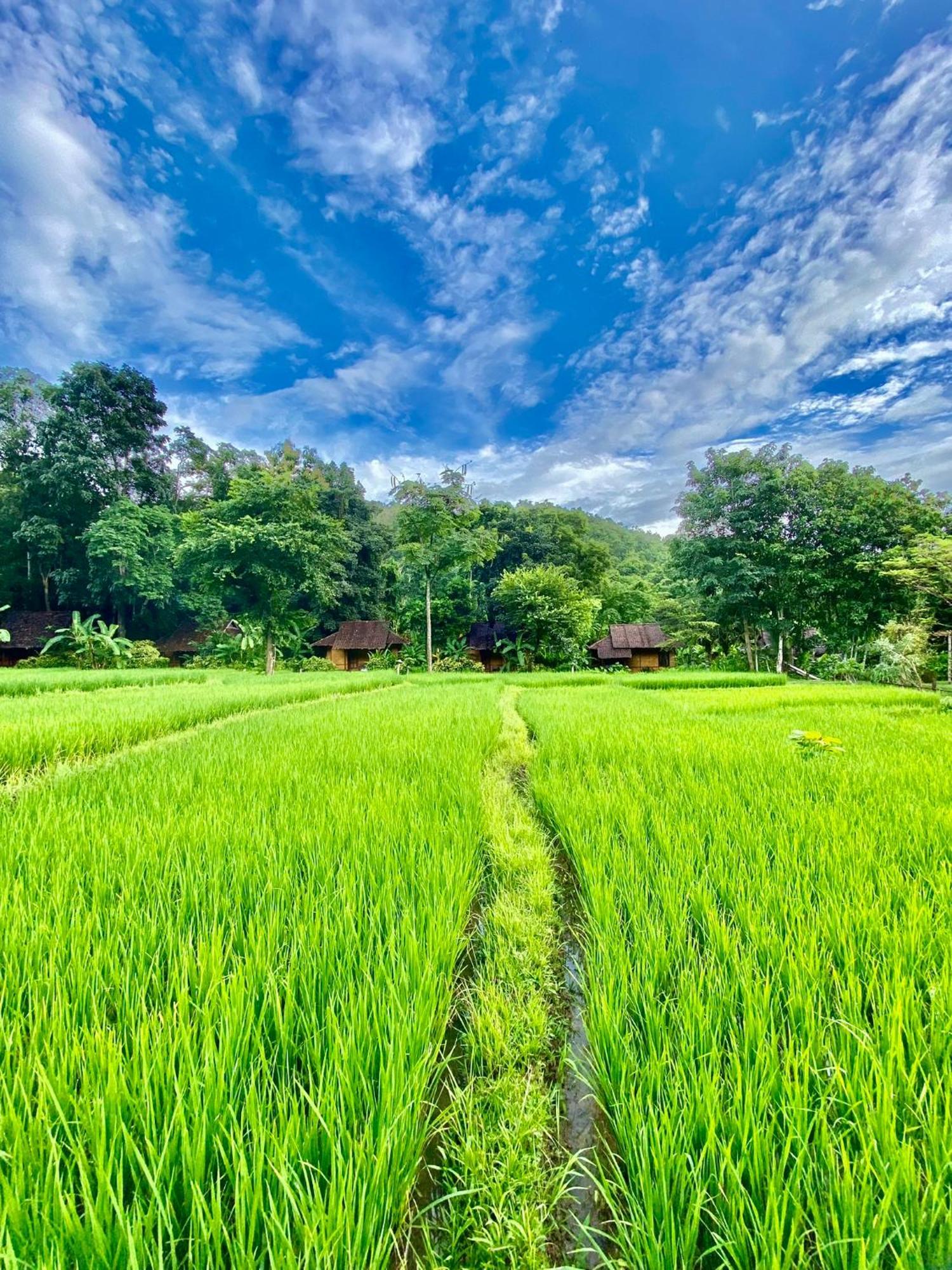 Fern Resort Mae Hong Son Zewnętrze zdjęcie