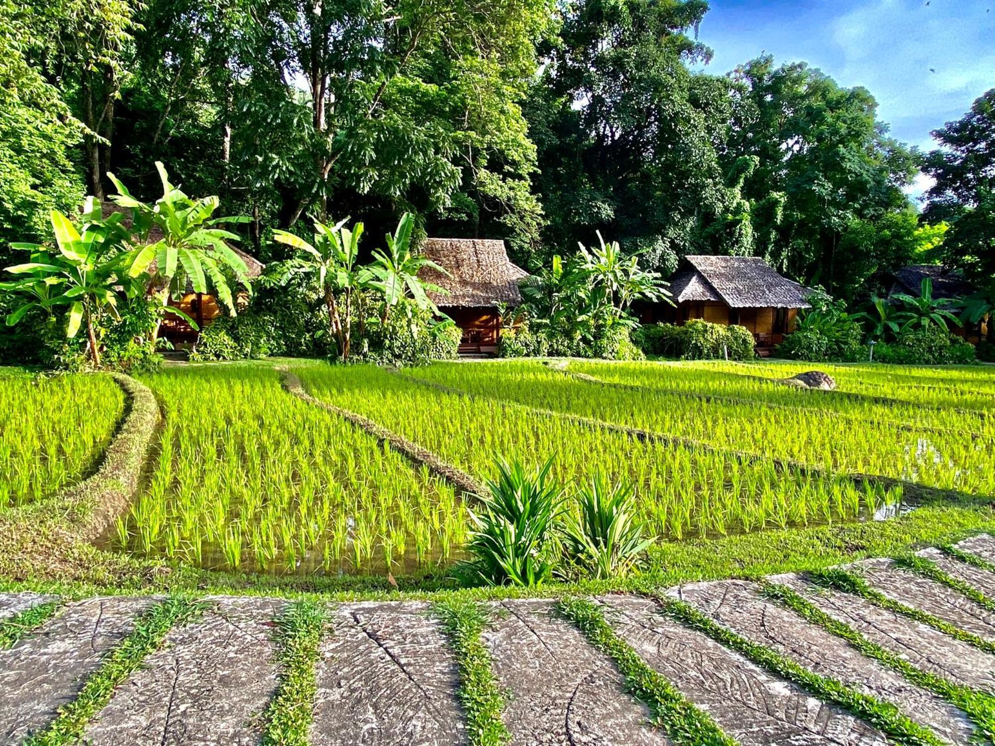 Fern Resort Mae Hong Son Zewnętrze zdjęcie